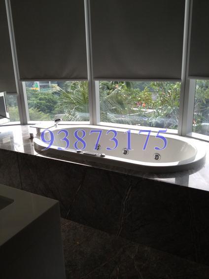 The Orchard Residences (D9), Apartment #124131812
